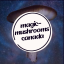 Magic Mushrooms  Canada
