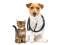 financialadviceccmove financialadviceccmove