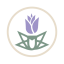 Supply Purple Rose