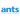Digital Ants 