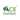 Financial Services Ace