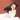 yang xinyue