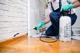 Eco-Friendly Pest Control Solutions for Toronto Homes and Businesses