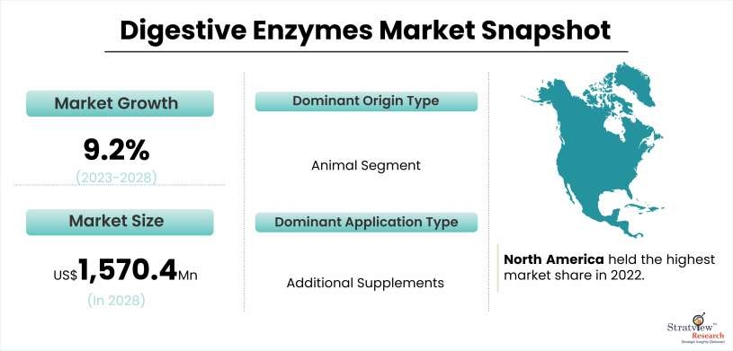 Digestive Enzymes Market to Witness Impressive Growth During 2023-2028