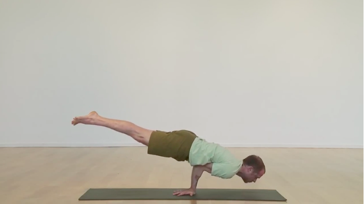 Pincha Mayurasana: Journey into the Feathered Peacock Pose