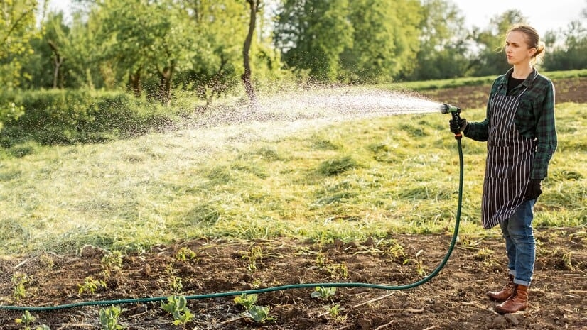 Choosing the Suitable Garden Hose to Improve Your Gardening Experience