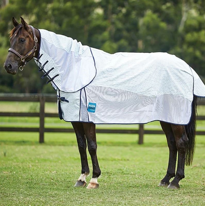 Enhancing Comfort and Protection with Horse Clothing and Fly Sheets