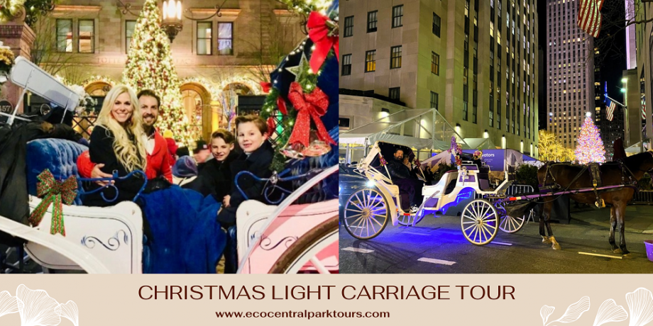 A Useful Guide for Christmas Lights Carriage Ride