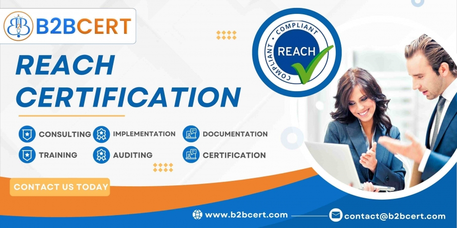 Stay Ahead with REACHertification: Comprehensive Compliance Training