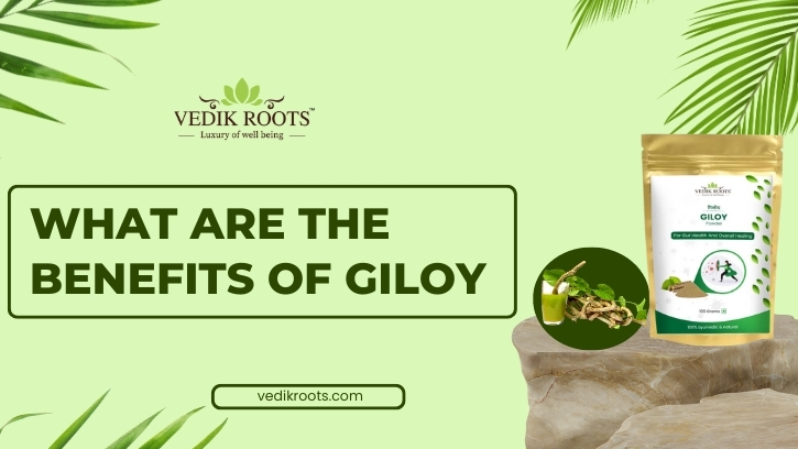 What are the benefits of Giloy