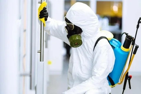 Comprehensive Guide to Effective Pest Control Solutions in Dubai and Abu Dhabi