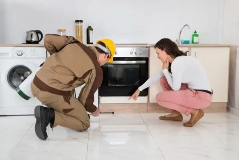 Comprehensive Guide to Effective Pest Control Solutions in Dubai & Abu Dhabi