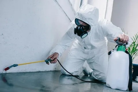 A Comprehensive Guide to Pest Control Services in Dubai and Abu Dhabi