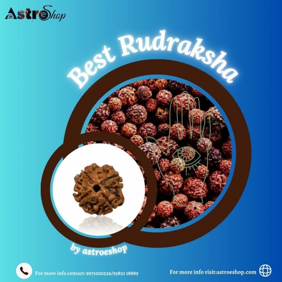 Sacred Seeds: Exploring the World of Rudraksha