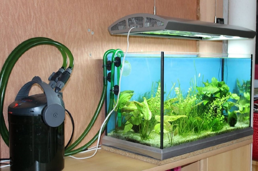 How to Choose the Best Aquarium Filter Media for Your Fish Tank