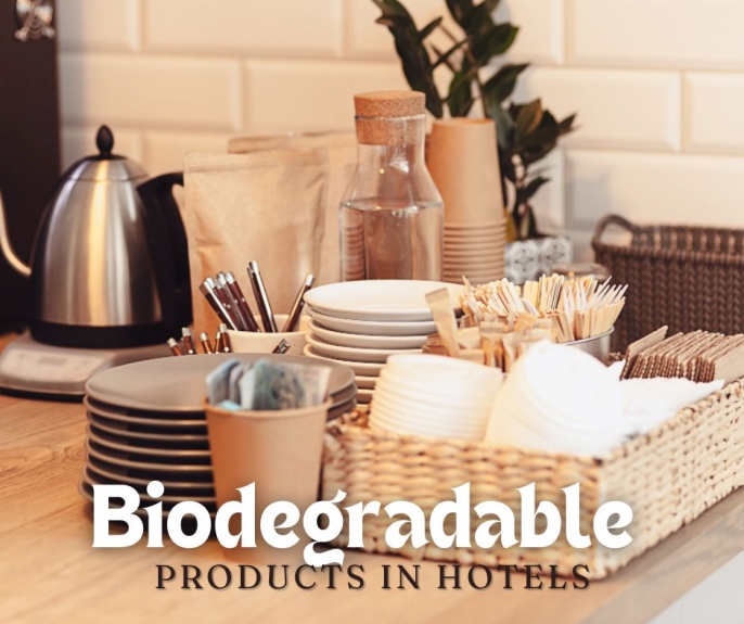 How Biodegradable Tableware Supports the Circular Economy  