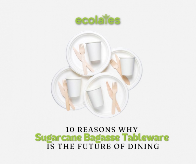 10 Reasons Why Sugarcane Bagasse Tableware is the Future of Dining