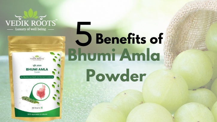 5 Benefits of Bhumi Amla Powder