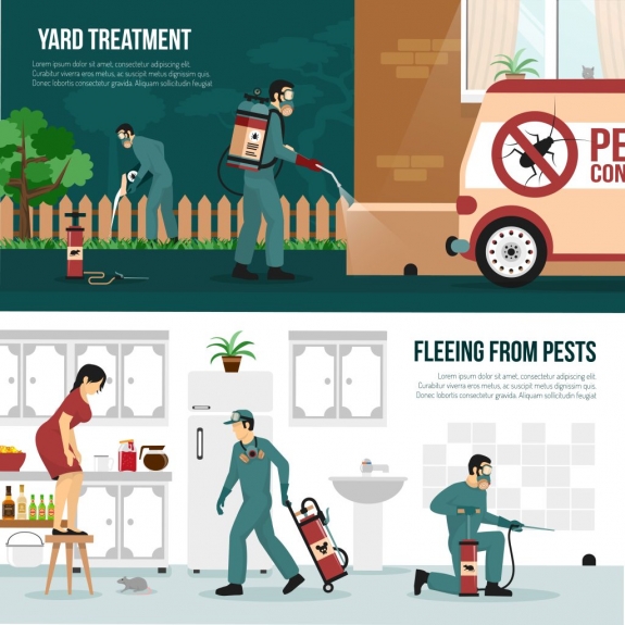 Essential Pest Inspections for California Homeowners