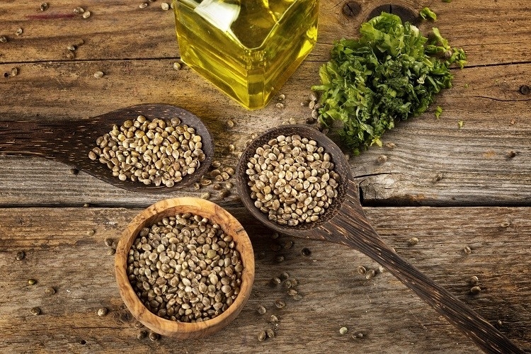 Hemp Seed Flour Manufacturing Plant Project Report 2024: Comprehensive Business Plan, and Manufacturing Process