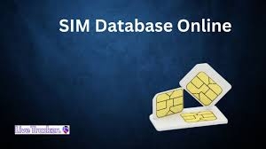 How to Sim Database Online