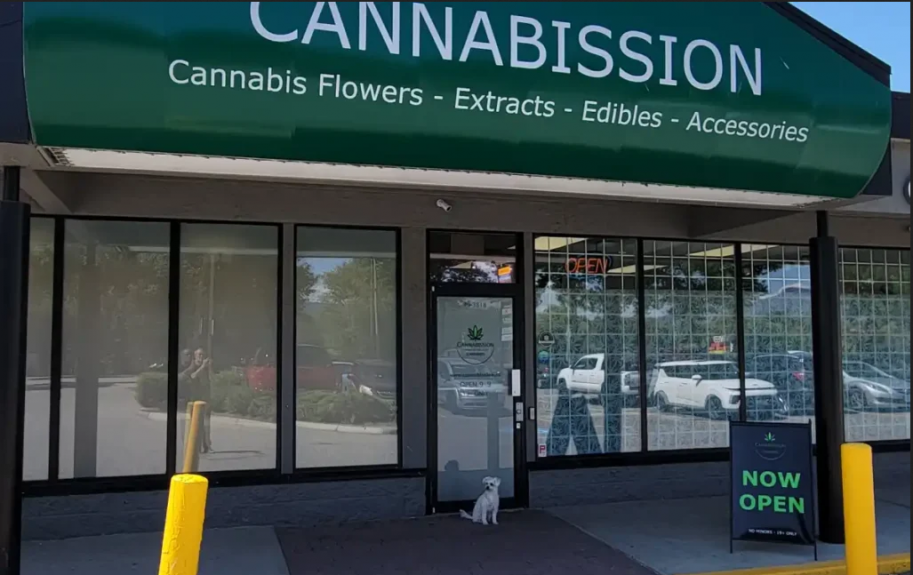 Discover the Best Weed Dispensary and Cannabis Store