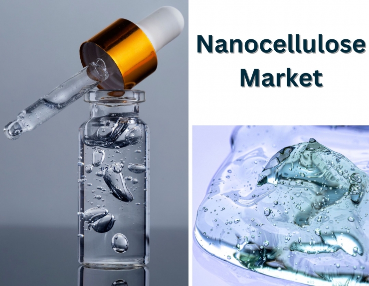 Global Nanocellulose Market Demand and Growth Analysis by 2032