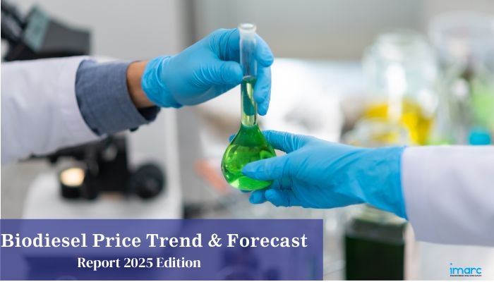 Biodiesel Prices, Pricing Report, Index & History Chart