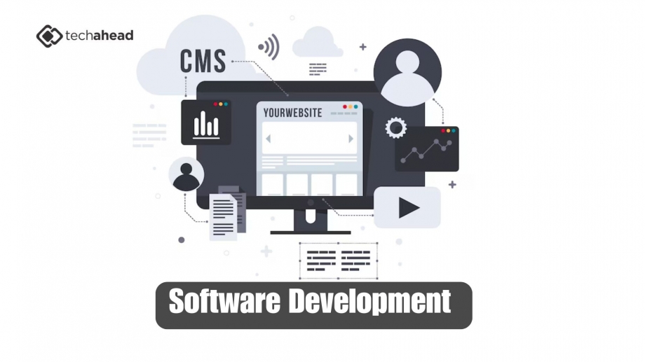Choosing the Right Development Partner: The U.S. Advantage in Custom Software Solutions