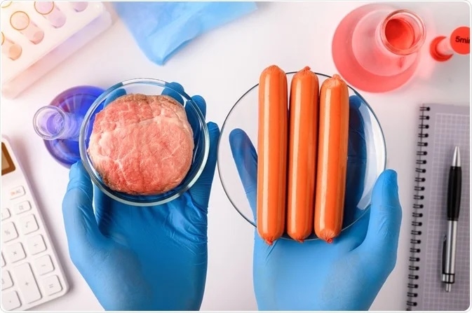 Synthetic Food Manufacturing Plant Project Report 2025: Comprehensive Business Plan and Profit Margin