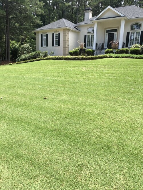 Comprehensive Healthy Lawn Care by Tuxedo Lawns: Your Guide to a Lush, Green Yard