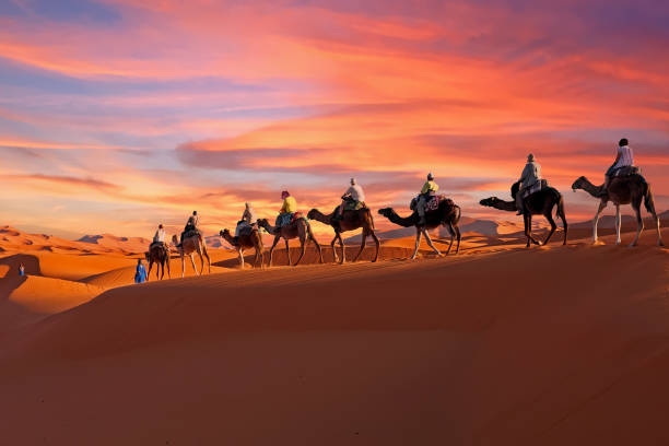 The Ultimate Adventure: Morocco Desert Tours from Marrakech 