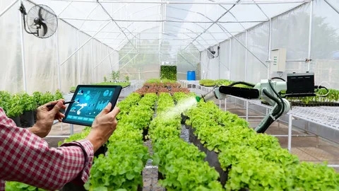 Navigating Controlled Environment Agriculture Market Growth Dynamics