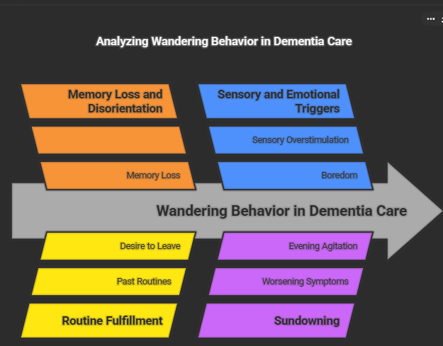 wandering behavior in Senior Living