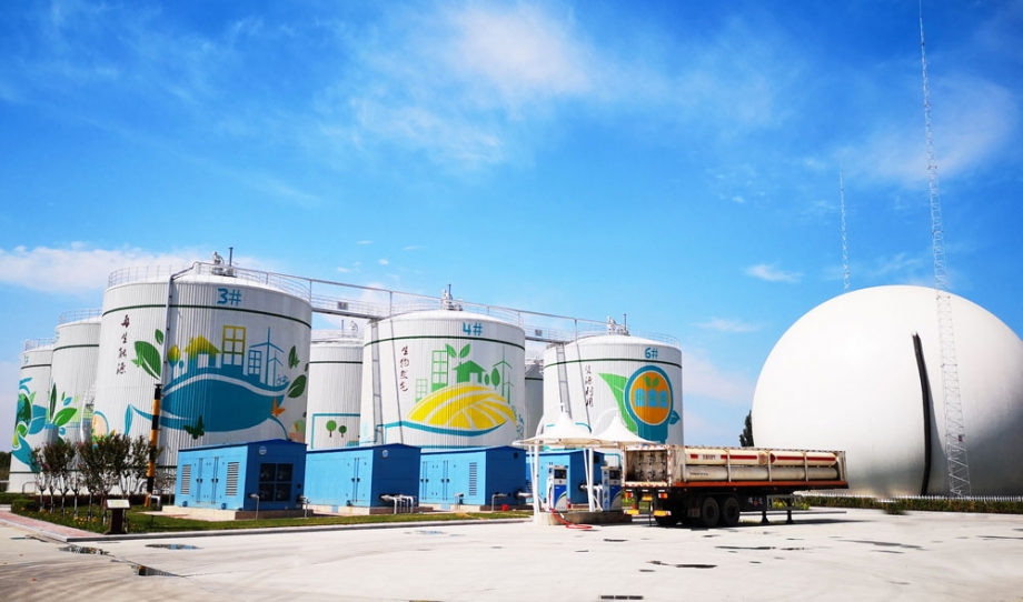 Mixed Raw Materials Biogas Plant