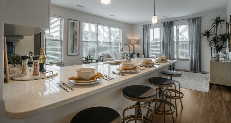 Discover the Comfort and Style of Two Bedroom Apartment at Audubon Easterly