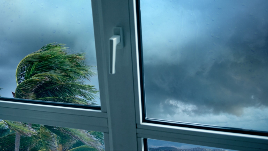 Windows