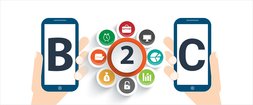 B2C E-commerce Market Trends, Growth Opportunities and Forecast 2025-2033