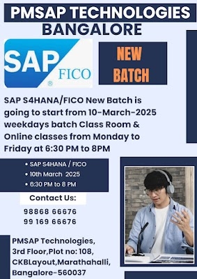 Tips to Crack Interviews After Training at the Best SAP S4HANA SD Institutes in Bangalore