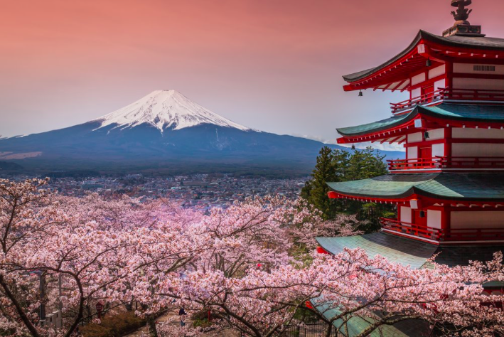 Osaka Tours and Kyoto Tours – An Unforgettable Contrast in One Journey 