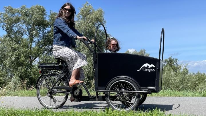 Electric Cargo Bike Market Size Projections & Share Insights 2025–2033