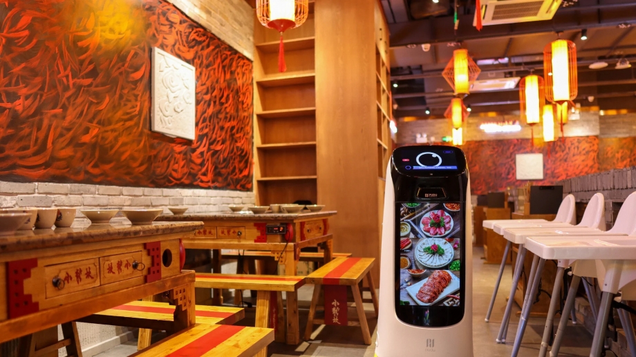 Bella Robot Waiter in Canada: Serving Innovation at Every Table