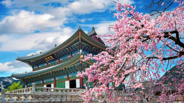 A Smart Traveler’s Guide to Experiencing Seoul with a City Tour 