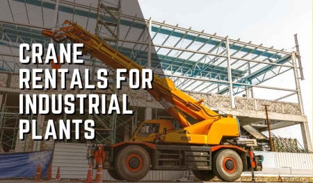 Crane Rental India: Lifting Solutions for Every Industry