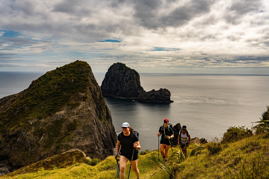 New Zealand North Island Tours: A Journey Through Nature, Culture, and Adventure