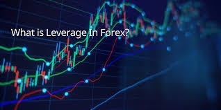 Understanding Leverage in Forex Trading