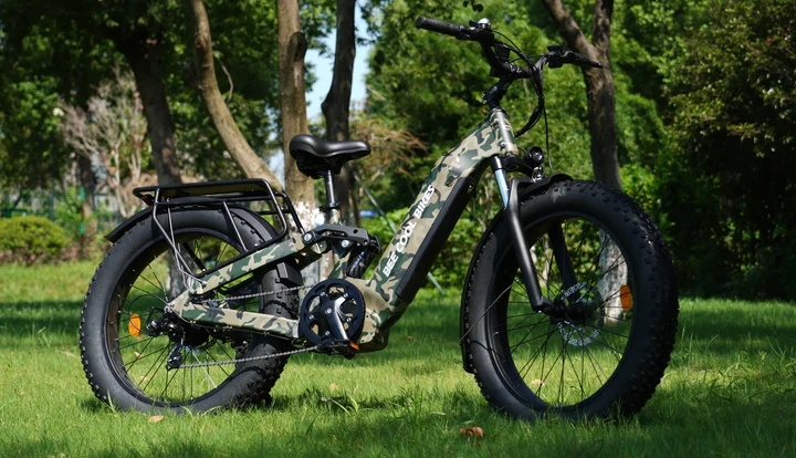 Long Range E-Bikes: The Ultimate Choice for Long-Distance Cycling