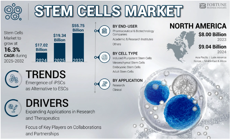 Stem Cells Market Key Research Developments and Innovations 2032