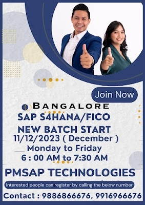 What to Expect from the Best SAP S/4HANA SD Institutes in Bangalore