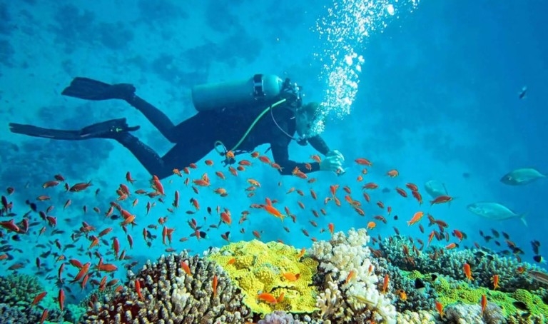 Become the Solution: Mastering Ocean Conservation with the PADI Project AWARE Course